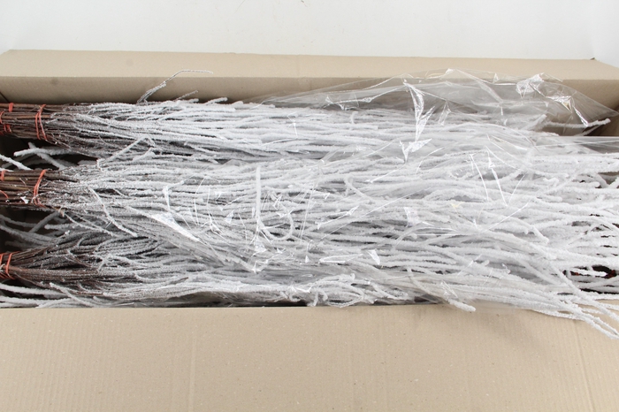 <h4>Betula Bs Snow</h4>