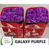 R Gr Galaxy Purple Ec