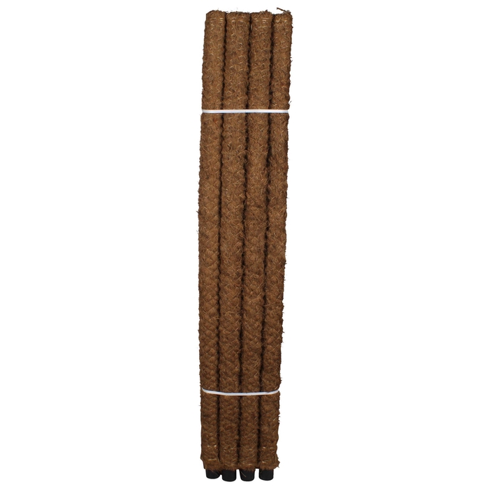 <h4>Mosstok 150cm</h4>