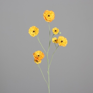 Zinnia 105cm dark yellow