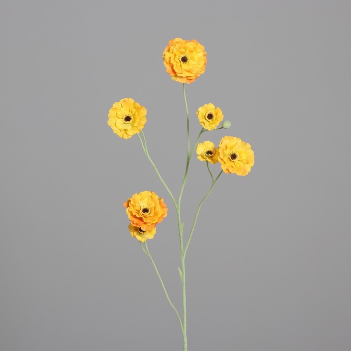 <h4>Zinnia 105cm dark yellow</h4>