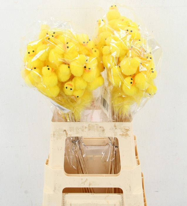 <h4>HUIS EN TUINDECO H%</h4>