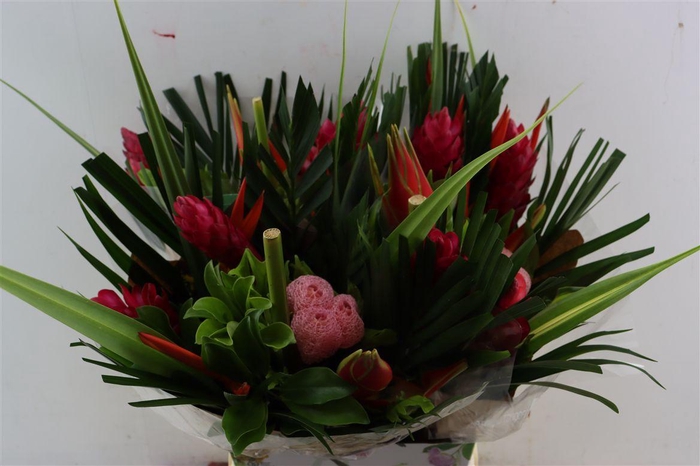 <h4>Helic Bqt Flat Medium Premium</h4>