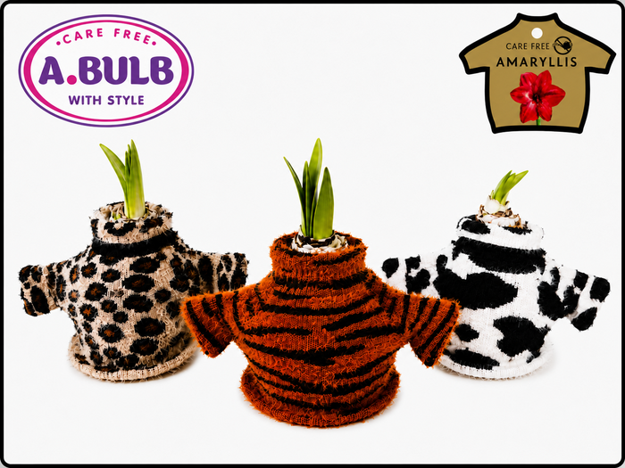 <h4>A.BULB with Style - 32cm Safari Mix</h4>