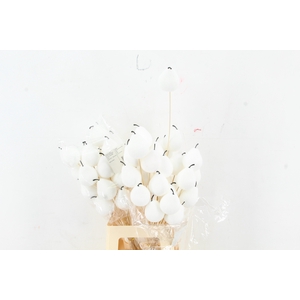 Stick Pear Flock 8cm White