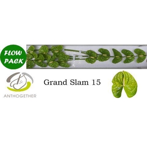 Anth A Grand Slam 7 cm X15 Flow Pack Oosterzon