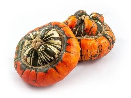 <h4>CUCURBITA PEPO</h4>