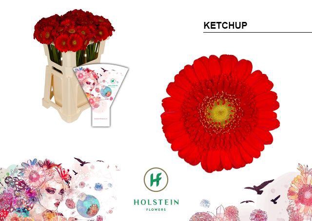 <h4>Germini Ketchup Water</h4>