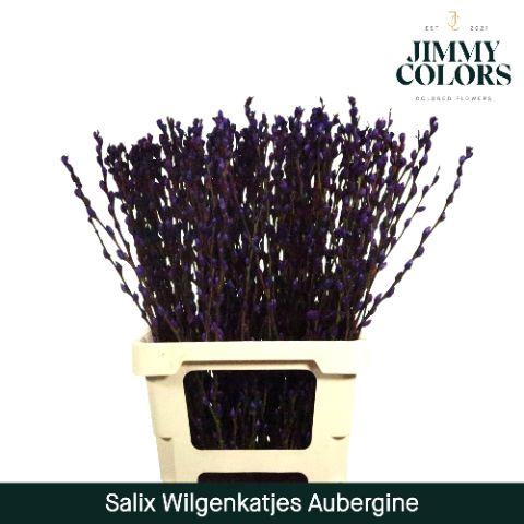 <h4>Salix Katjes L70 Aubergine</h4>