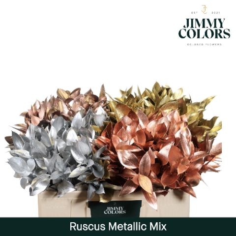 Ruscus L50 Mtlc. Mix