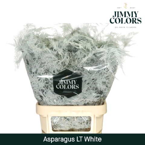 <h4>Asp lang getopt  White</h4>