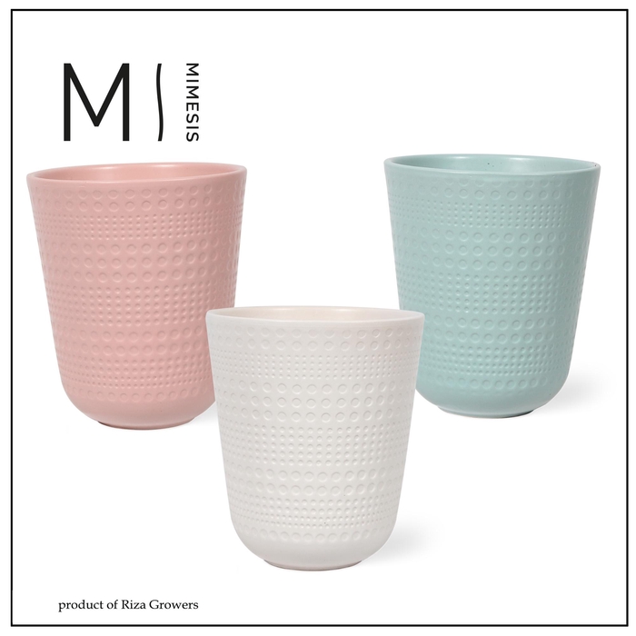 <h4>KERAMISCHE POT H%</h4>