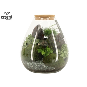 90754: Landscape terrarium Drop D26 / H30
