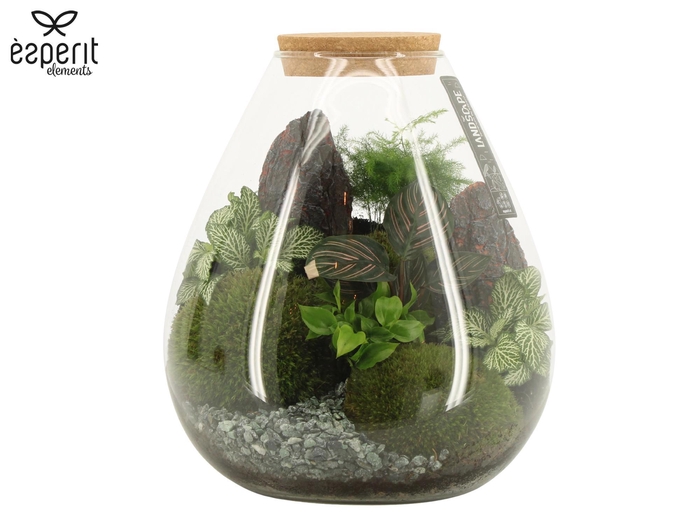 <h4>90754: Landscape terrarium Drop D26 / H30</h4>