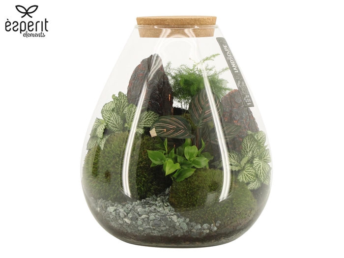 <h4>90754: Landscape terrarium arrangement</h4>