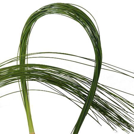 FLEXIGRASS