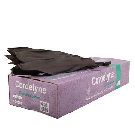 <h4>CORDELINE BLACK TIE</h4>