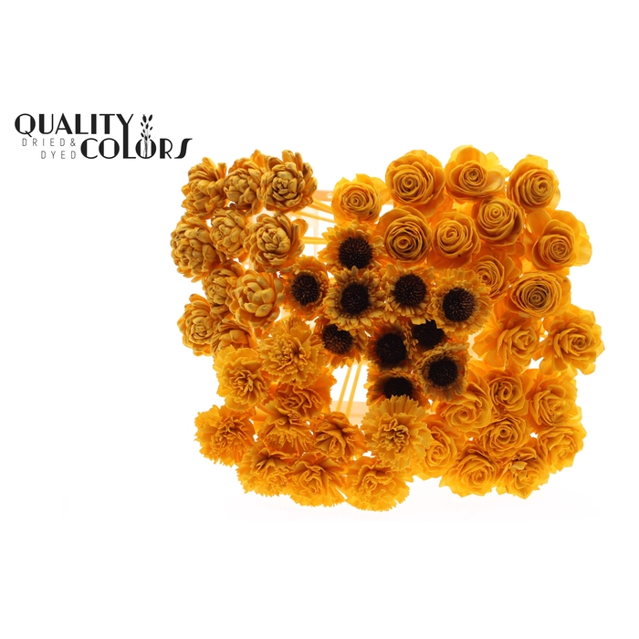 <h4>Shola Flower Mix on stem Apricot</h4>