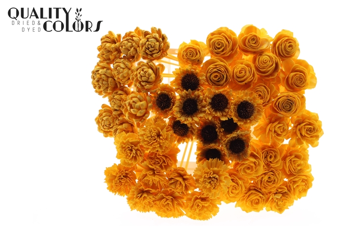 Shola Flower Mix on stem Apricot