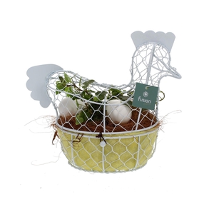 Pasen Kip gaas pastel met Hedera