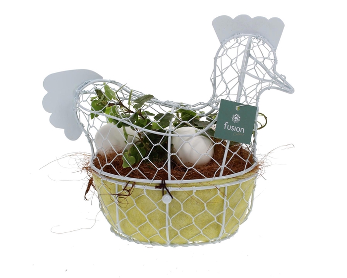 <h4>Pasen Kip gaas pastel met Hedera</h4>