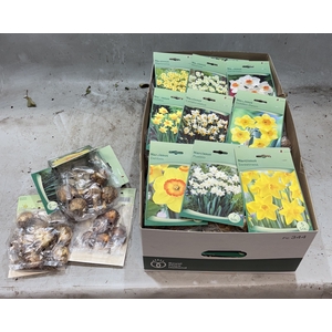 BLOEMBOL NARCIS