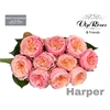 R GR HARPER!