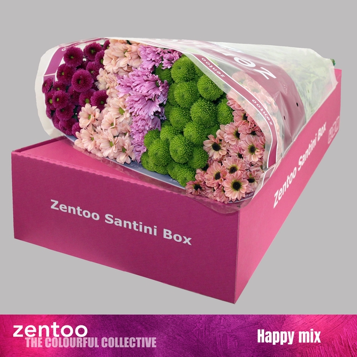 <h4>CHR S MIX HAPPY</h4>