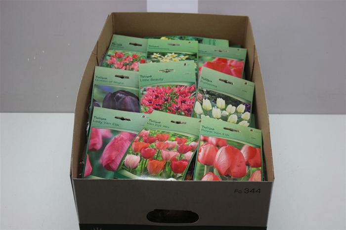 <h4>Bloembol Gemengd In Zakjes</h4>