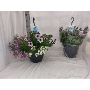 HANGING BASKETS