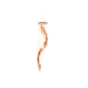 Chandelier  Capiz Charm H70D14