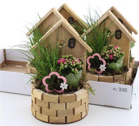 <h4>Arr Tuinplanten</h4>