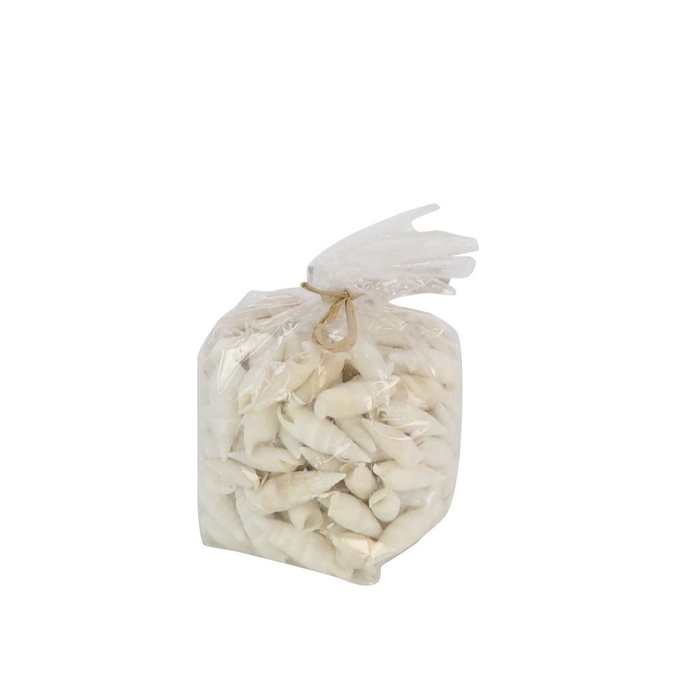 <h4>Shell Cerethium Vertagus 750g</h4>