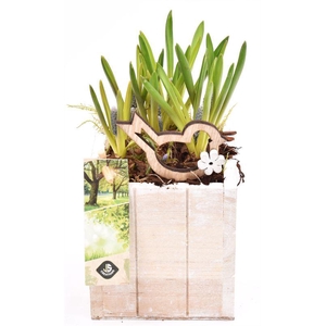 Hout box white wash 12.5x12.5cm