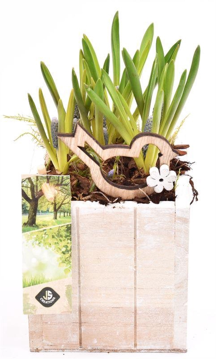 <h4>Hout box white wash 12.5x12.5cm</h4>