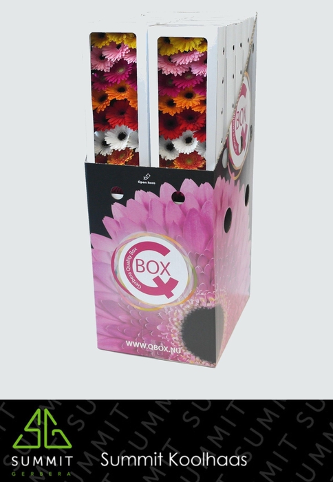 <h4>GE MI MIXED ON ROW IN AQUA BOX</h4>