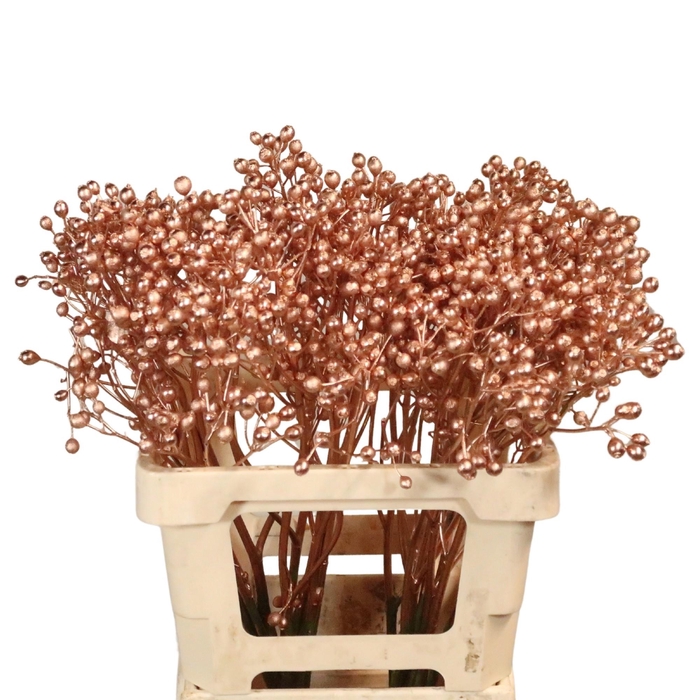 <h4>DECOGROEN OV KLB H%</h4>