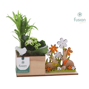 Pasen Haas hout met Arrangement