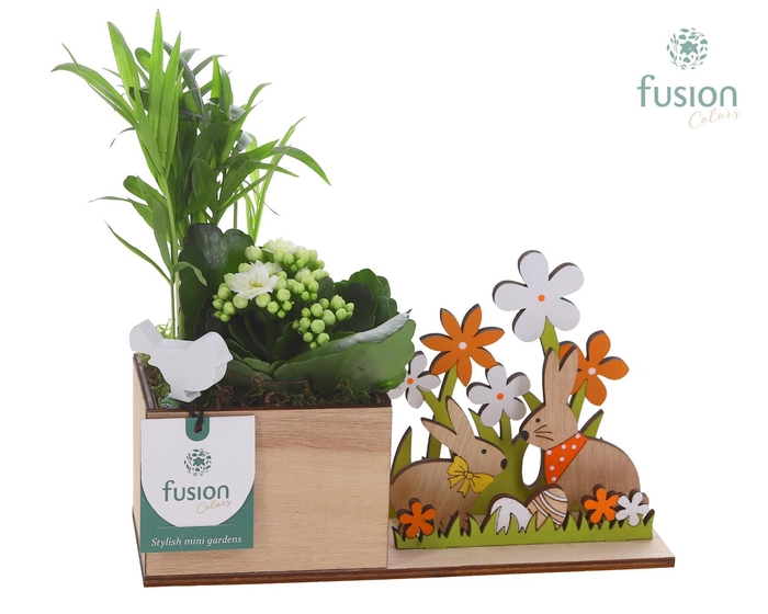 <h4>Pasen Haas hout met Arrangement</h4>