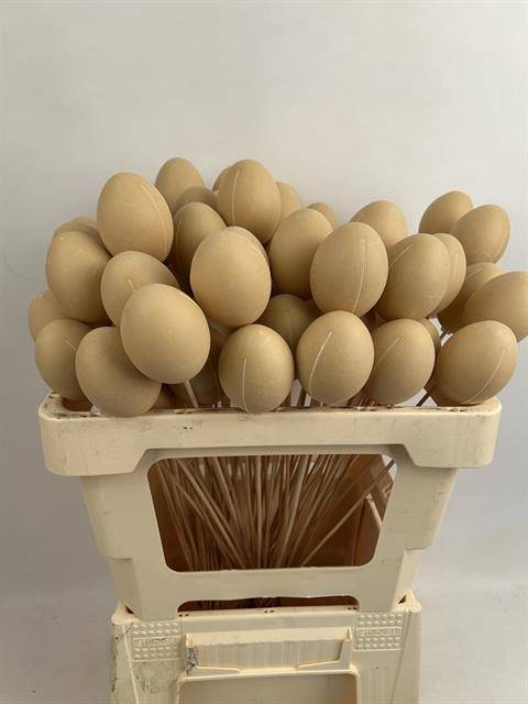 <h4>PAAS EI NATURAL 7 CM OP STOK</h4>