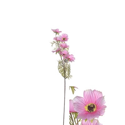 <h4>Artificial flowers Cosmos 72cm</h4>