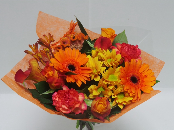 <h4>Bouquet shorties orange</h4>