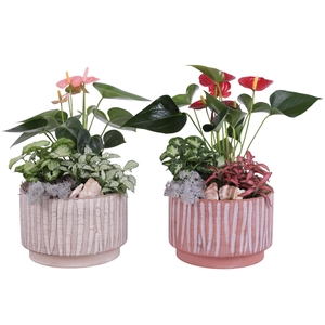 Yearround Arr. Indoor Ceramic Natural Touch NT667 Ø20cm 3PP