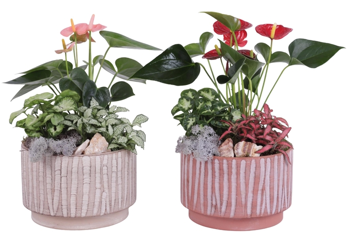 <h4>Yearround Arr. Indoor Ceramic Natural Touch NT667 Ø20cm 3PP</h4>