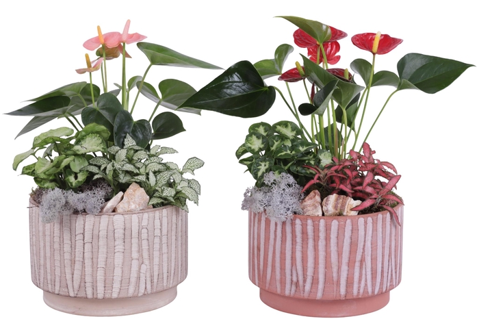 <h4>Yearround Arr. Indoor Ceramic Natural Touch NT667 Ø20cm 3PP</h4>