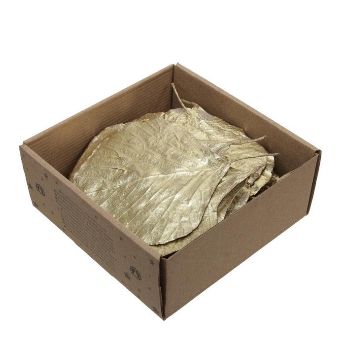 <h4>Christmas Deco Cobra leaves 10cm x25</h4>