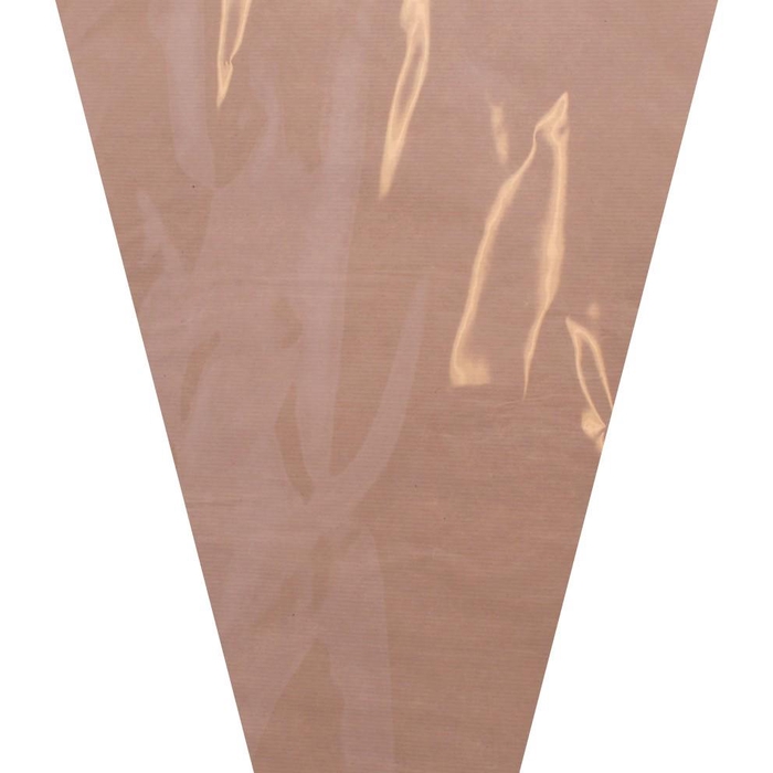 <h4>Sleeves Pure 40*30*12cm x50 OPP35/Kraft</h4>