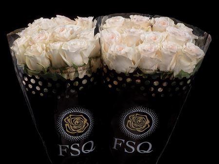 <h4>R Gr Fancy Dreams</h4>