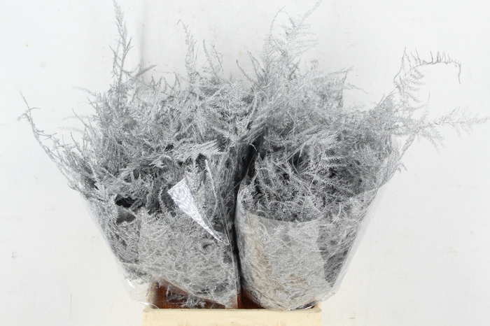 <h4>ASP OV KLB H%</h4>