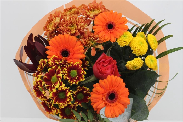 <h4>Boeket Promo Oranje</h4>